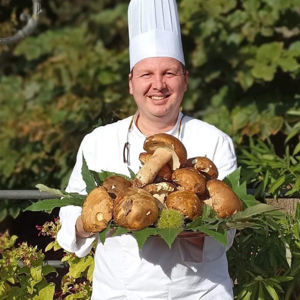 la ricerca delle materie prime ed food